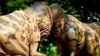 Pachycephalosaurus HD Wallpaper Background Image