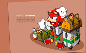 Knuckles The Echidna Wallpaper