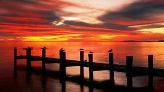 Florida HD Wallpaper Desktop X