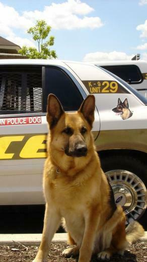 Police K9 Dog Galaxy S3 Wallpaper