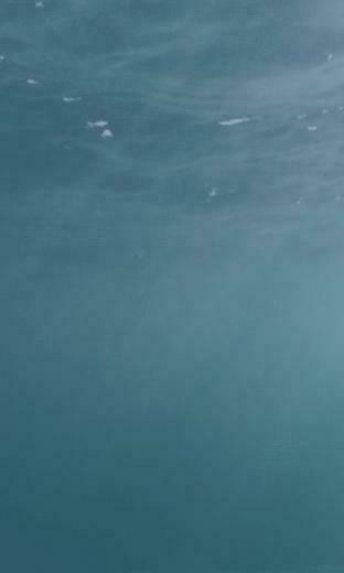 Enjoy Beautiful Beach Live Wallpaper With Amazing Animation Effects