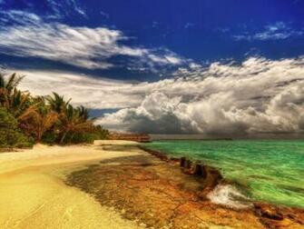Beautiful Summer Desktop Pc And Mac Wallpaper