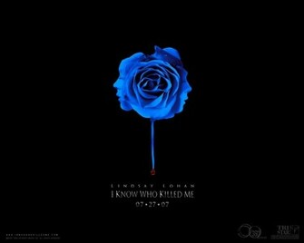 Rose Wallpaper Blue HD