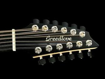 Breedlove Oregon Concert String E Acoustic Myrtlewood