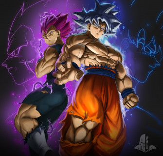 Elitenappa Commissions Closet Na Platformi X Ultra Instinct