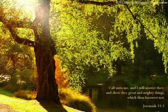 King James Kjb Versed Christian Wallpaper Jeremiah