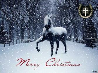 Wallpaper Horse In Snow X Desktop And