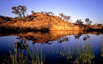 Australian Girls Kangaroos Australia Wallpaper