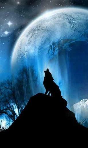 Glowing Wolf Live Wallpaper For Cool
