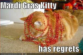 Gras Funny Happy Mardi