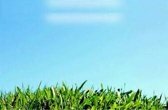 Summer Camp Background Picture