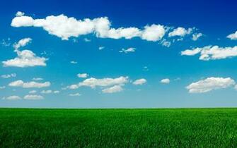 Clear Blue Sky Green Grass Field Wallpaper