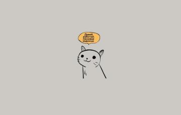 Wallpaper Cat Background Laziness Work Image For Desktop