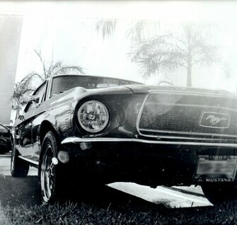 Mustang By Camteru