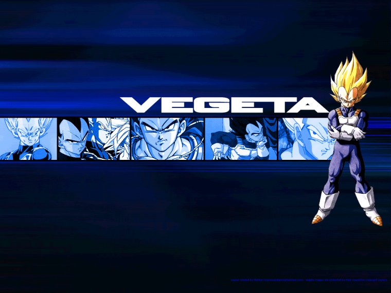 Vegeta Prince Wallpaper