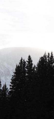 Since You Guys Liked My Last One I Took Of The Rocky Mountains