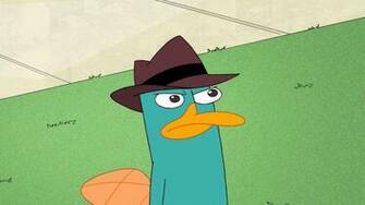 Perry The Platypus Wallpaper