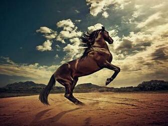 Horse Wallpaper I Ld Rather Be Riding Horses