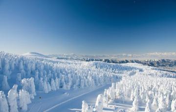 Wallpaper Winter Road Forest Snow Trees Mountains Japan