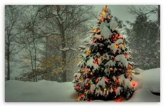 Home Holidays Christmas