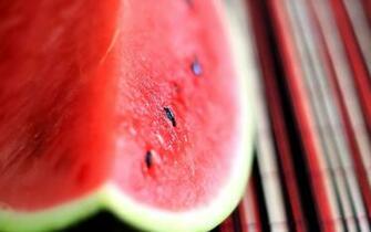 Watermelon Wallpaper Net