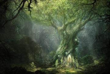 Nature Kde Store