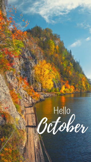 Fall Wallpaper For Your Phone S Hello