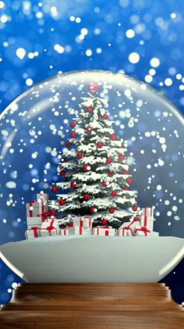 Holiday Christmas