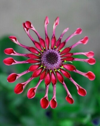 Pictures Nice Best Scienaries Different Super