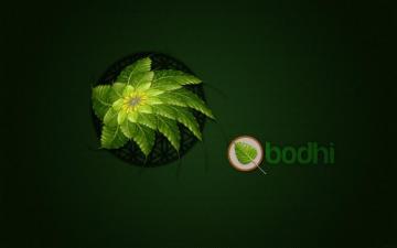 Wallpaper Bodhi Linux Green