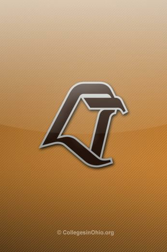 Falcons iPhone Wallpaper Bowling Green State Bgsu