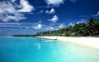 Wallpaper Mit Sch Nen Sandstrand B Umen Und Blaues Meer
