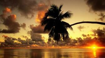 Wallpaper HD For Desktop Widescreen