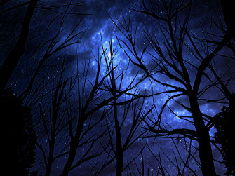 Anime Night HD Wallpaper By Smile