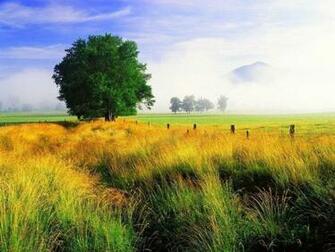 Smoky Mountains Park Tennessee Wallpaper