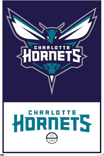 Amazon Trends International Nba Charlotte Hornets Logo