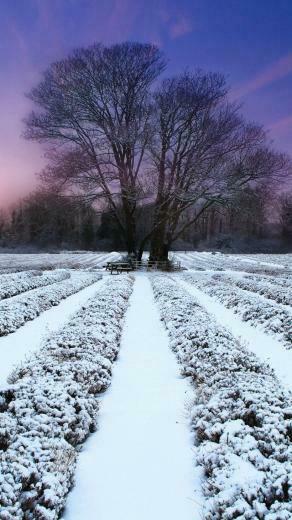 Cool Winter Wallpaper For iPhone Background