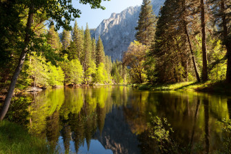 Lake Forest Nature Trees Wallpaper HD