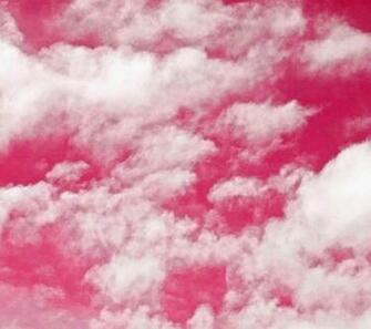 Pics Photos Background Wallpaper Image Hot Pink Random