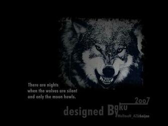 Hipster Wolf Wallpaper By Woifeman Customization Animals
