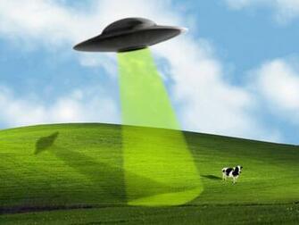 Windows Xp Bliss Wallpaper Weddingdressin