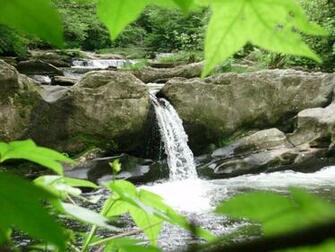 Smoky Mountain Stream