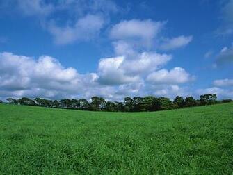 Hokkaido Travel Summer Country Wallpaper