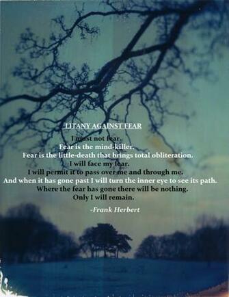 The Litany Against Fear You Re Gonna Be Ok