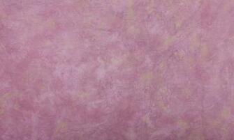 Professional Portrait Background Image Mag