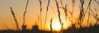 Simply Soulful Savoring Life Through Simplified And Living