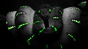 Razer Wallpaper