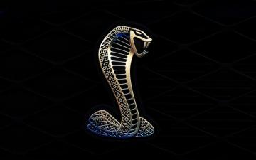 Ford Mustang Shelby Cobra Gt HD Wallpaper Background Image