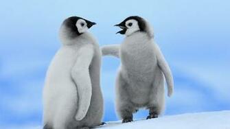 HD Wallpaper Met Twee Schattige Pinguins In De Sneeuw
