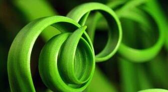 Green Spiral Leaf Wallpaper Beautiful Things